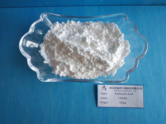 Medical Grade Hyaluronic Acid Bulk Powder CAS 9004 61 9 Moisturizing
