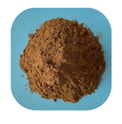 100% Natural Organic Curcumin Extract Powder 458 37 7 High Curcumin Turmeric Powder