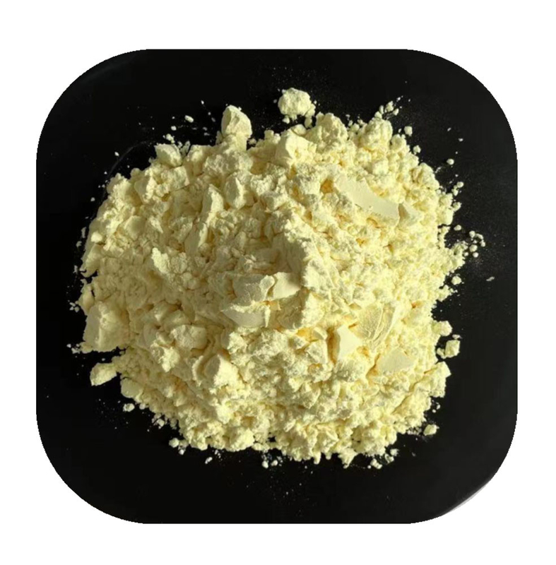 CAS 117-39-5 quercetin powder Concentrate 2 Years Shelf Life